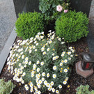 DSCN9153_JPG-1372029844