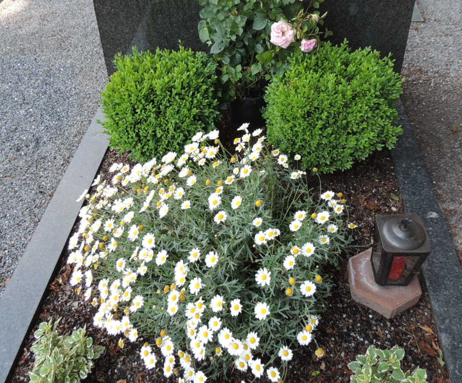 DSCN9153_JPG-1372029844