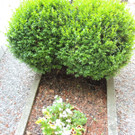 DSCN9147_JPG-1372029827