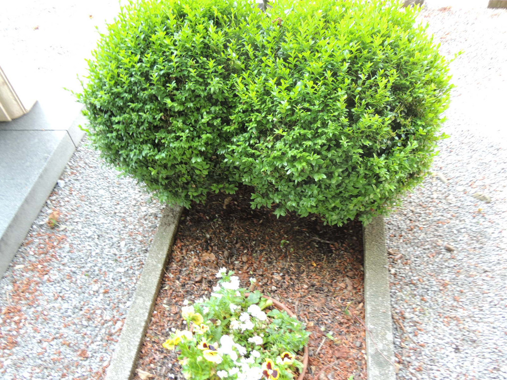 DSCN9147_JPG-1372029827