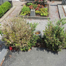 DSCN9148_JPG-1372029830