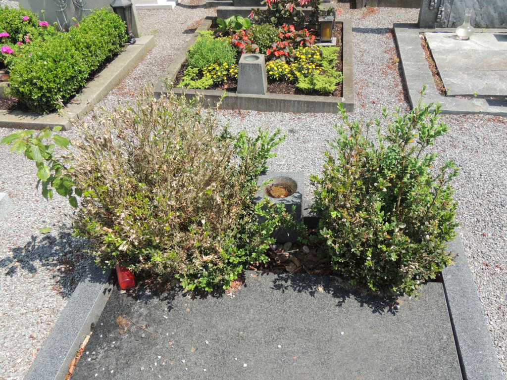 DSCN9148_JPG-1372029830