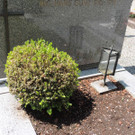 DSCN9149_JPG-1372029834