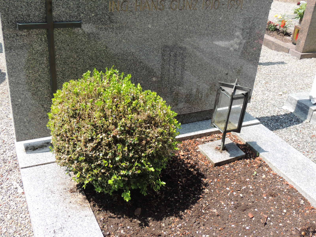 DSCN9149_JPG-1372029834