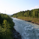 grilla_jpg 318_jpg-1372055578