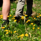 Sonnenhof Tannheimertal Wanderbeine.jpg