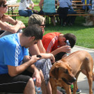 IMG_9341_JPG-1372062666