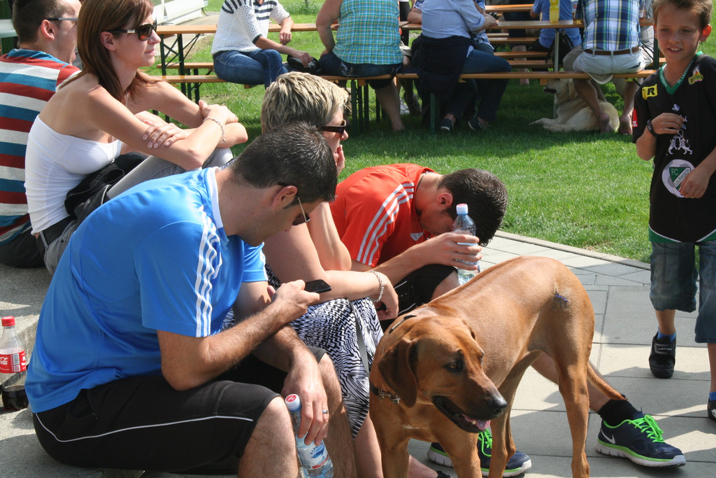 IMG_9341_JPG-1372062666