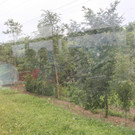 grilla_jpg 095_jpg-1372067748