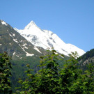 DSC06017.jpg