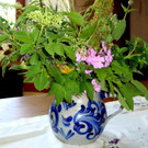 DSC06063.jpg