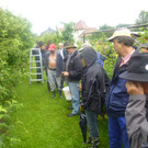OGV Sommerschnitt