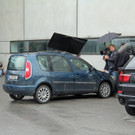 IMG_5803.JPG