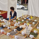 23062013italiensermarktat02001aktivnews _33_.JPG