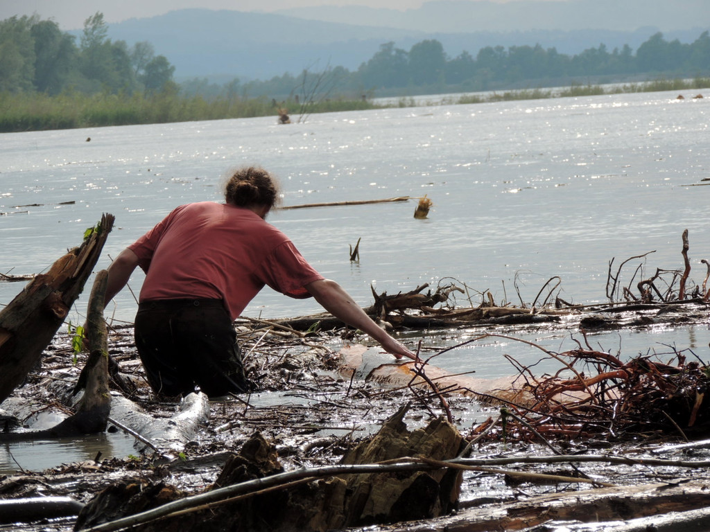 DSCN4596_JPG-1372110206