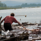    Holzeinbringung am See