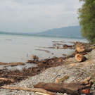 DSCN4594_JPG-1372110202