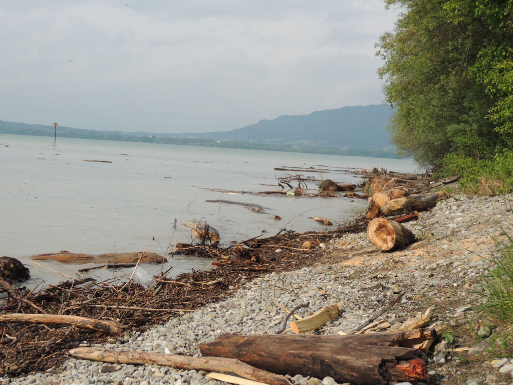 DSCN4594_JPG-1372110202