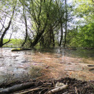 DSCN7287_JPG-1372110645