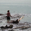 DSCN4593_JPG-1372110198