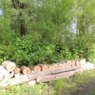 DSCN7625_JPG-1372110648