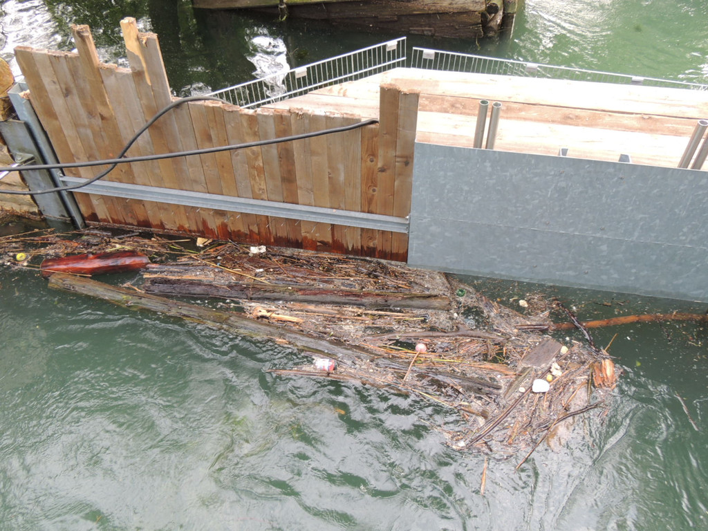 DSCN7656_JPG-1372110663