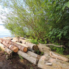 DSCN7628_JPG-1372110655