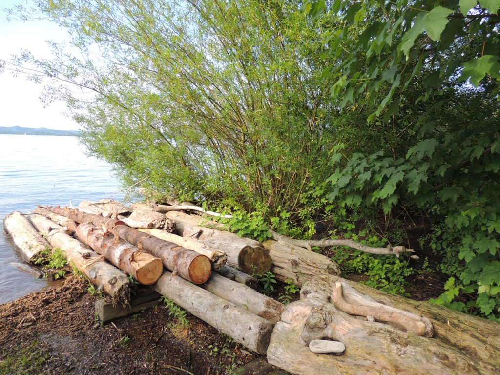 DSCN7628_JPG-1372110655