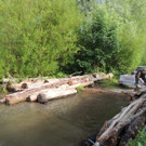 DSCN7630_JPG-1372110659