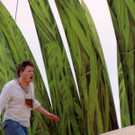 DSCN9568_JPG-1372111197