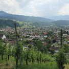 IMG_9885A_jpg-1372138881