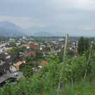 IMG_9899_jpg-1372138887