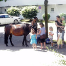 Lola kommt zu Besuch