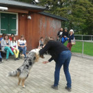 20130502_141434_jpg-1372152004