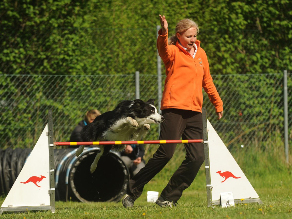 DSC_3677_jpg-1372161874