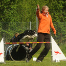 Agility - Hundesport für alle.