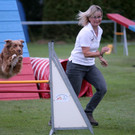 IMG_3547_JPG-1372161876
