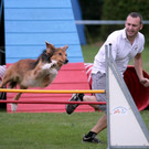 IMG_3495_JPG-1372162169