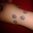 19 Jasmin Jovanovic_Hundepfoten Hand.jpg