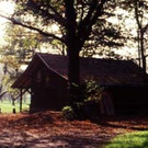 Witzy Camp
