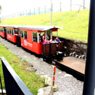 DSC09110.JPG