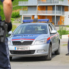 Fahndung Lochau07.jpg