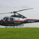 LF5M5269.JPG