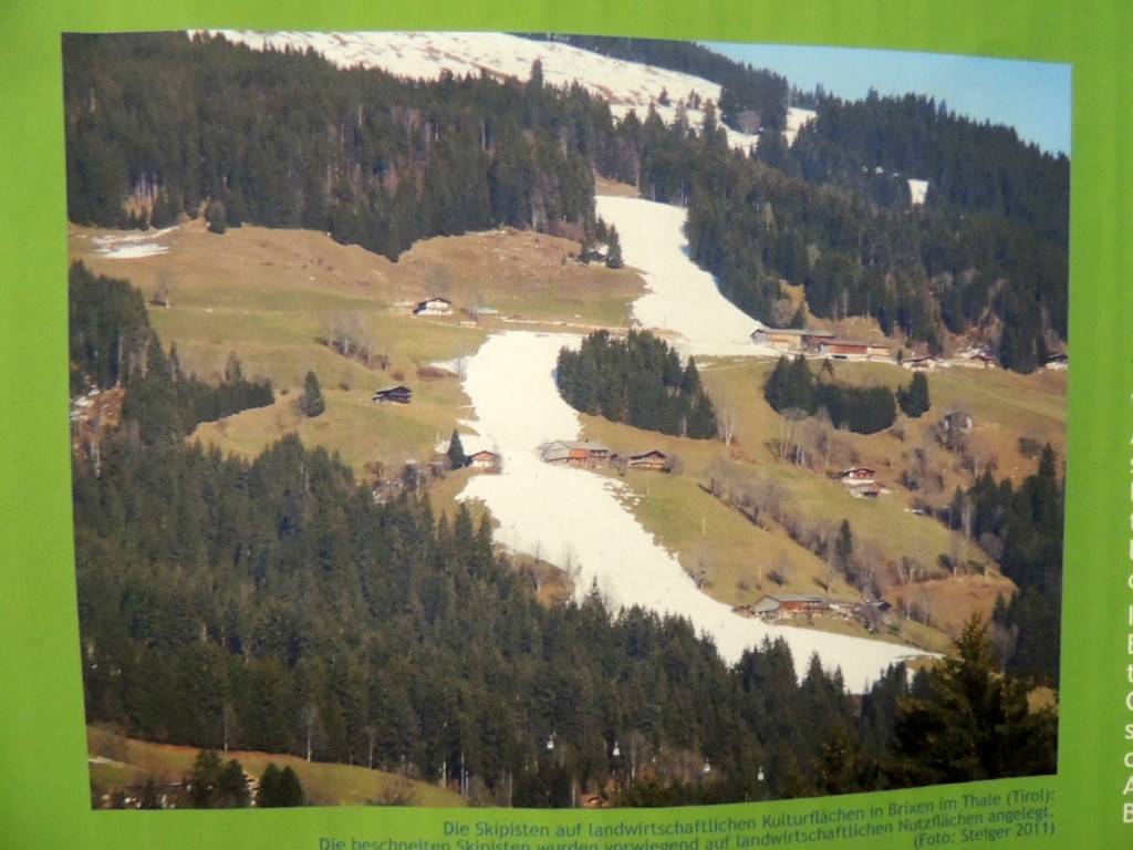 DSCN0268_JPG-1372286380