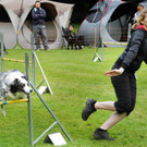 Agility-Bewerb in Höchst