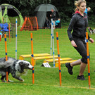 Agility H__chst 23-06-2013 12_jpg-1372319718