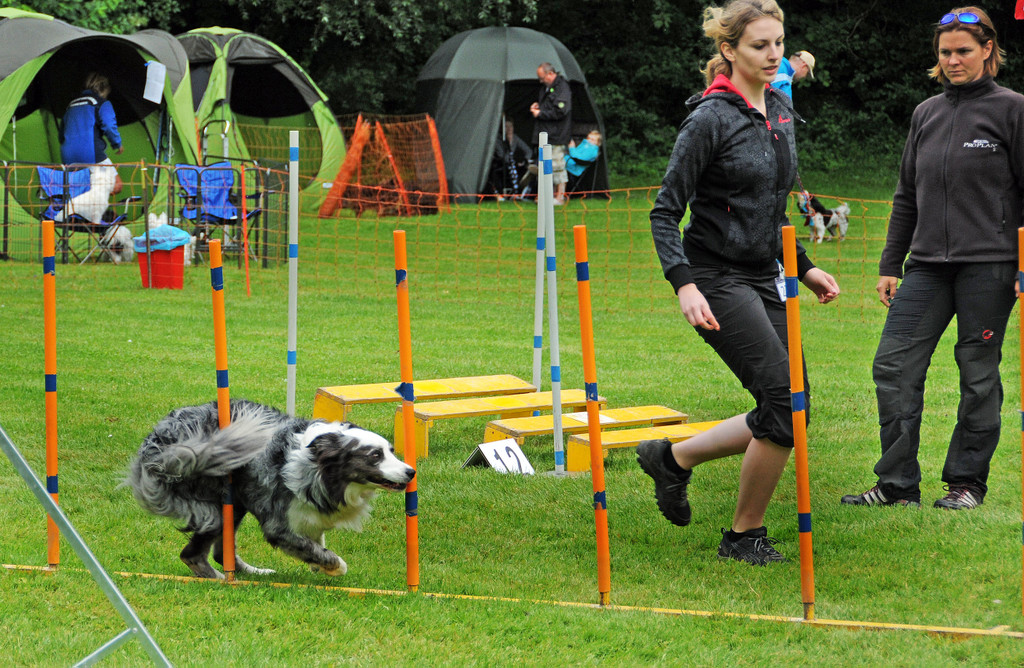 Agility H__chst 23-06-2013 12_jpg-1372319718