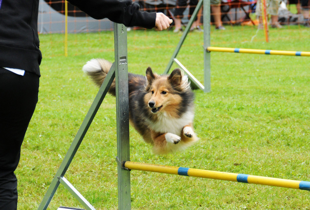 Agility H__chst 23-06-2013 25_jpg-1372319755