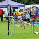 Agility H__chst 23-06-2013 5_jpg-1372319705