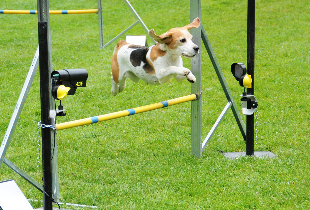 Agility H__chst 23-06-2013 44_jpg-1372319818